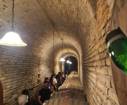 La Abeja Winery-圣拉斐尔必去景点