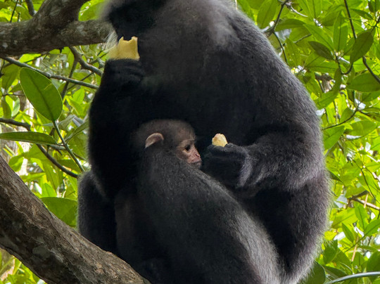 Charli Tours-亚洪加拉必去景点