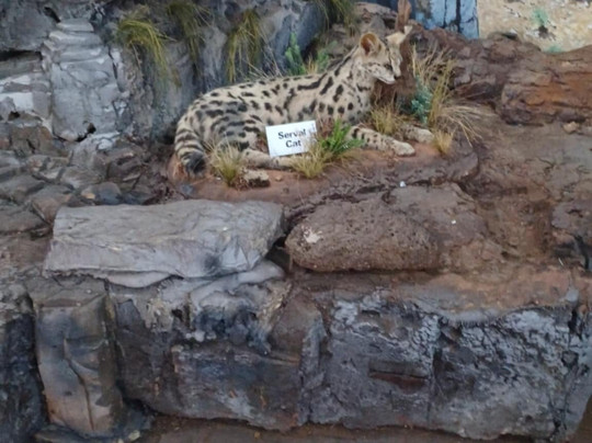 Interpretation Centre & Blyde Museum-Moremela必去景点