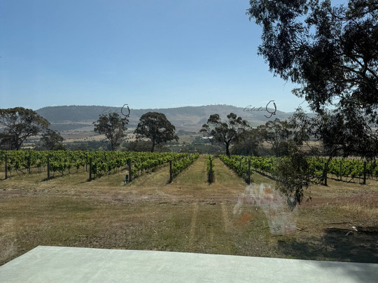 Caledon Estate Vineyard-Richmond必去景点