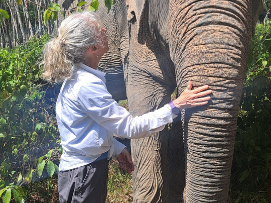 Phuket Elephant Sanctuary-普吉岛必去景点