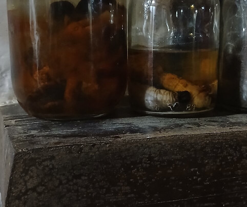 Agua Blanca-Machalilla National Park必去景点