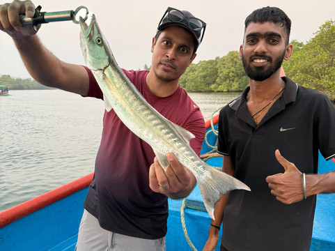 Dolphin Boat Trips Adventures North Goa-Nerul必去景点
