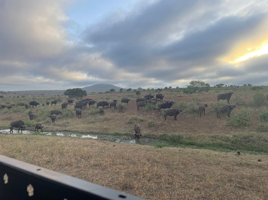 Johari Africa Adventures-迪亚尼必去景点