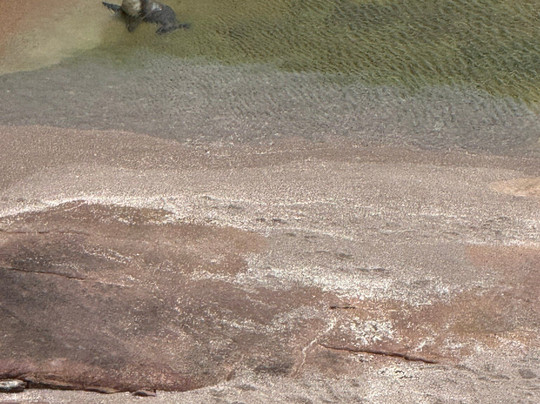 Point Labatt Conservation Park-Streaky Bay必去景点