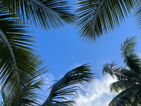 Jobos Beach-Isabela必去景点
