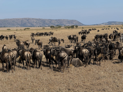 Ascend Tanzania-莫西必去景点