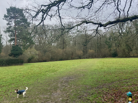 Scotney Castle Estate Walking Trails-Lamberhurst必去景点