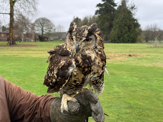 The Hawking Centre-Boughton Lees必去景点