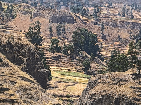 Transportes Turisticos Arequipa, Peru-Cayma必去景点