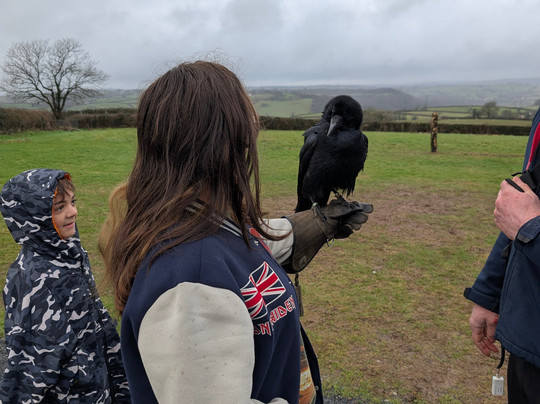 The British Bird of Prey Centre-喀麦登必去景点