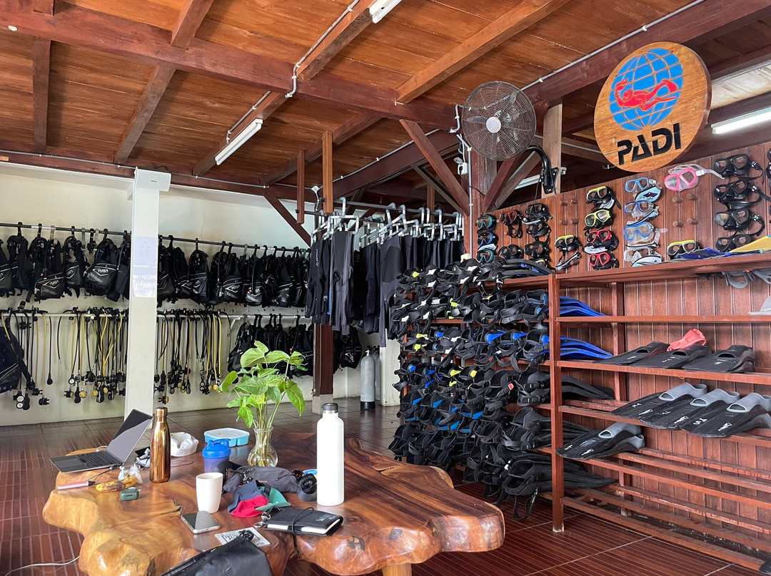 Mambo Dive Resort-珀尼达岛必去景点