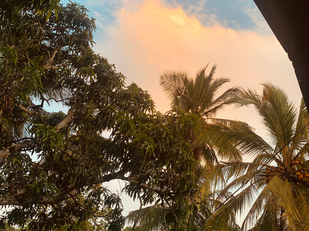 Wild View Stay主图