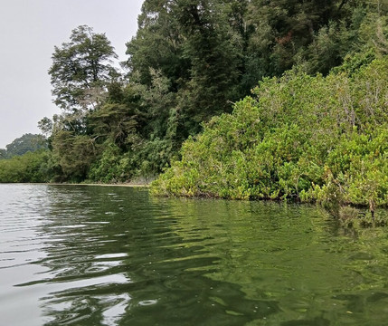 Isla Loreley-巴拉斯港必去景点