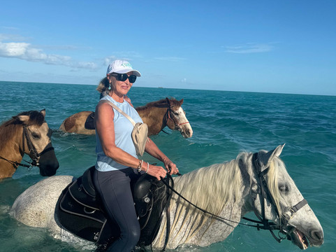 Provo Ponies-Long Bay Hills必去景点