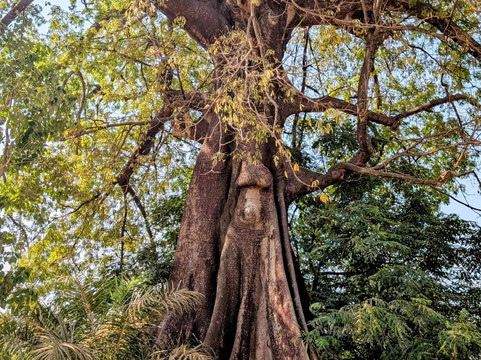 National Museum (Musée National)-柯那克里必去景点