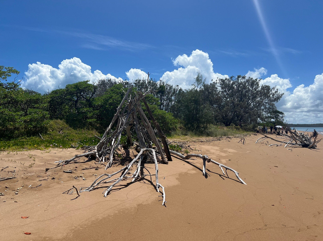 Hervey Bay Eco Marine Tours-赫维湾必去景点