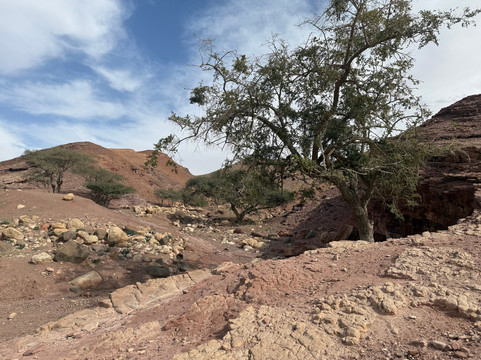 Atlas Tours-安曼必去景点