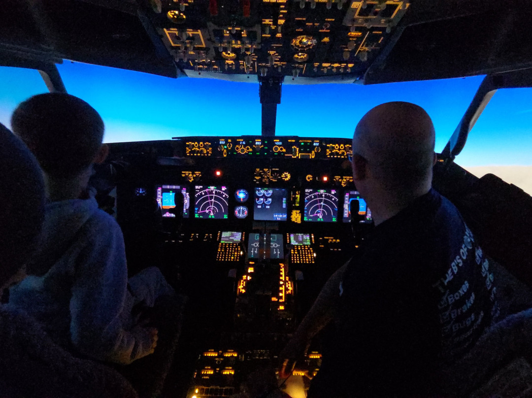 Sandpiper Flight Simulator-Somersham必去景点