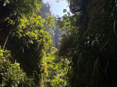 Cañón Del Río Güejar-Mesetas必去景点