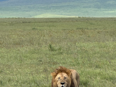 Masumin car hire & safaris-姆万扎必去景点