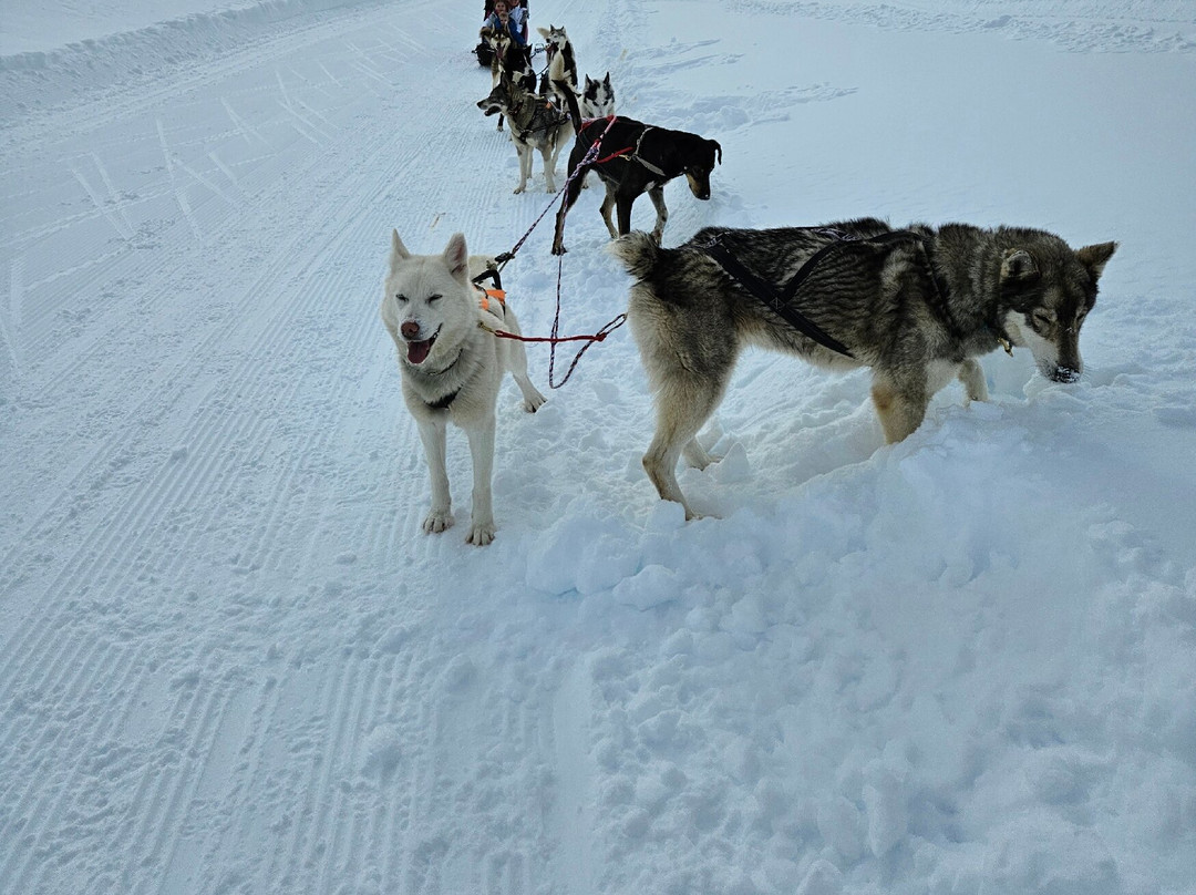 Alpi Traineau-Orcieres必去景点