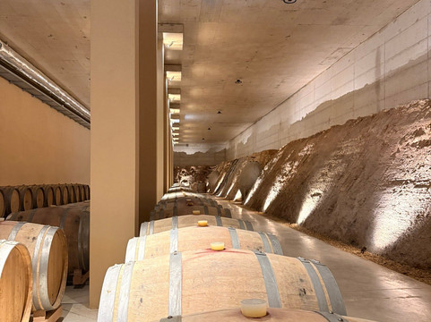 Vicentino Wines-Odemira必去景点