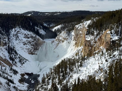 Scenic Safaris-杰克逊必去景点