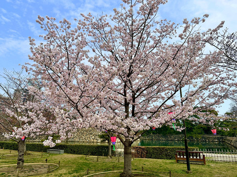 玉藻公园-高松市必去景点