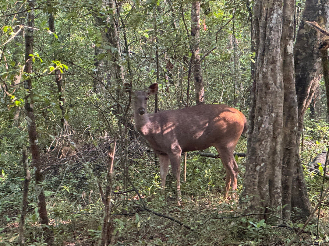 My Vacation at Lanka-Ratmalana必去景点
