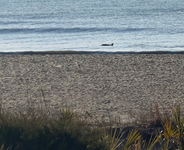 棕榈海滨酒店-酒店景观