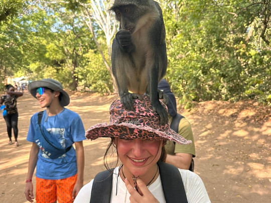 Mangi Kenya Safari-Malindi Marine National Park必去景点