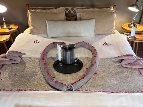 Suricata Safaris-阿鲁沙必去景点