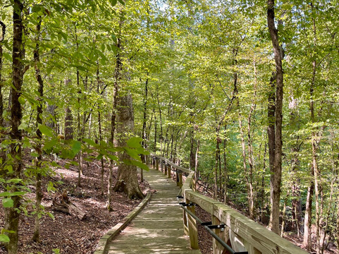 Kettle Creek Battlefield-Washington必去景点