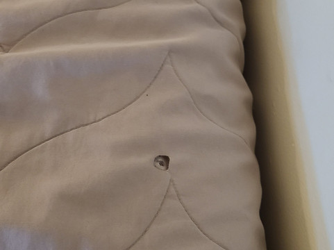 Cherry Tree Inn Victoria主图