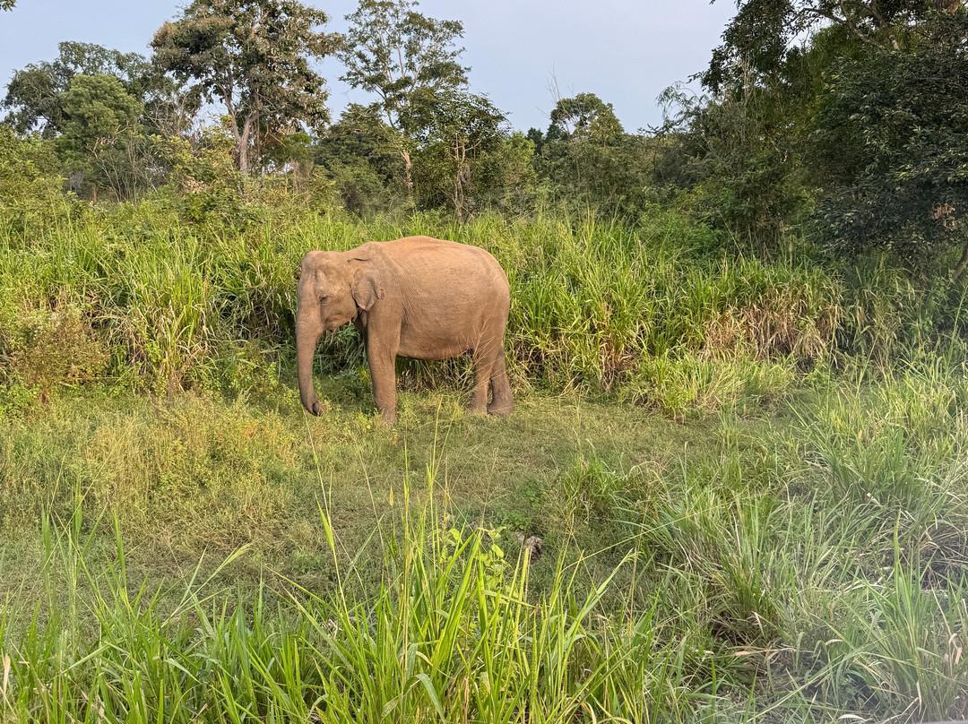 Explore Safari Tours-哈巴拉娜必去景点