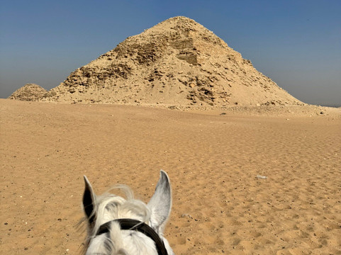 Cairo Horse Riding School-吉萨必去景点