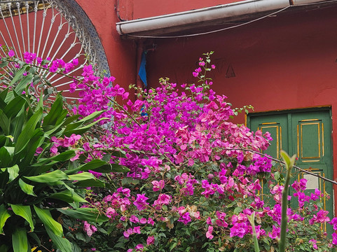 Caixa d'Agua Alto da Se / Elevador Panoramico-Olinda必去景点