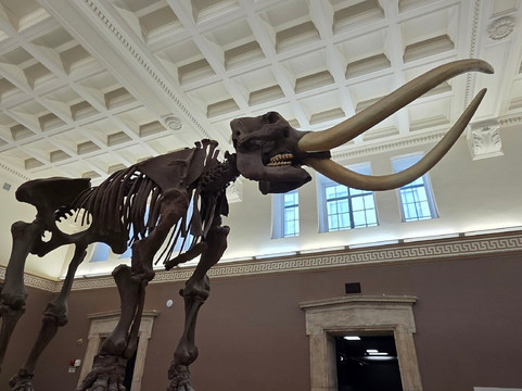 Buffalo Museum of Science-水牛城必去景点