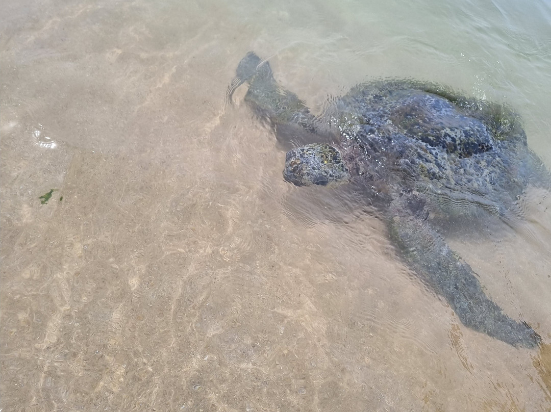 sri lanka tour with chathu-班托塔必去景点