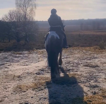 The Mill Ranch-埃德必去景点