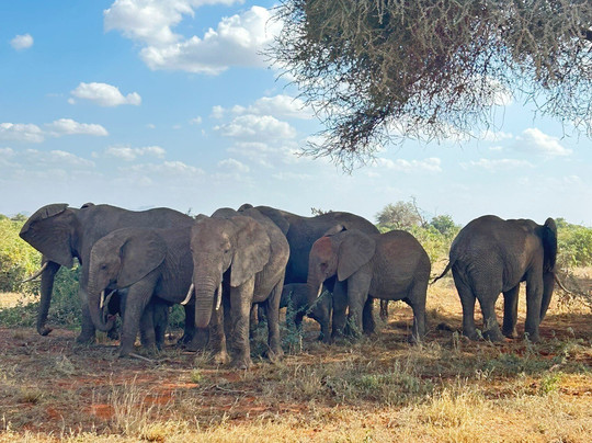 SAFARIZANDO-瓦塔木必去景点