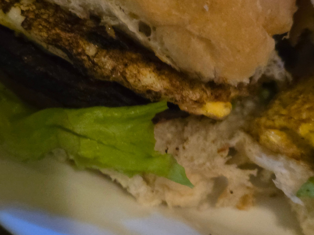 Vilanova Parque Hotel主图