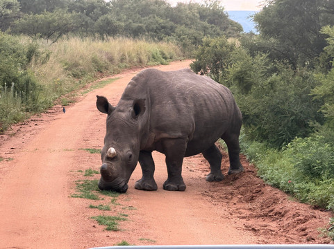 Babanango Valley Lodge主图