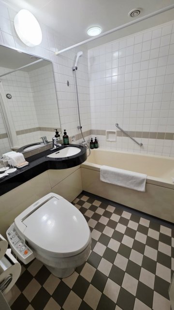 广岛全日空皇冠假日酒店-浴室