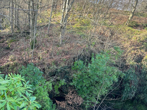 Maspie Den-Falkland必去景点