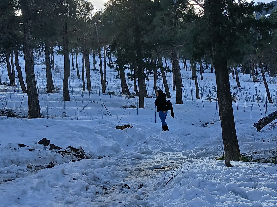 Chronicles Of Georgia-第比利斯必去景点