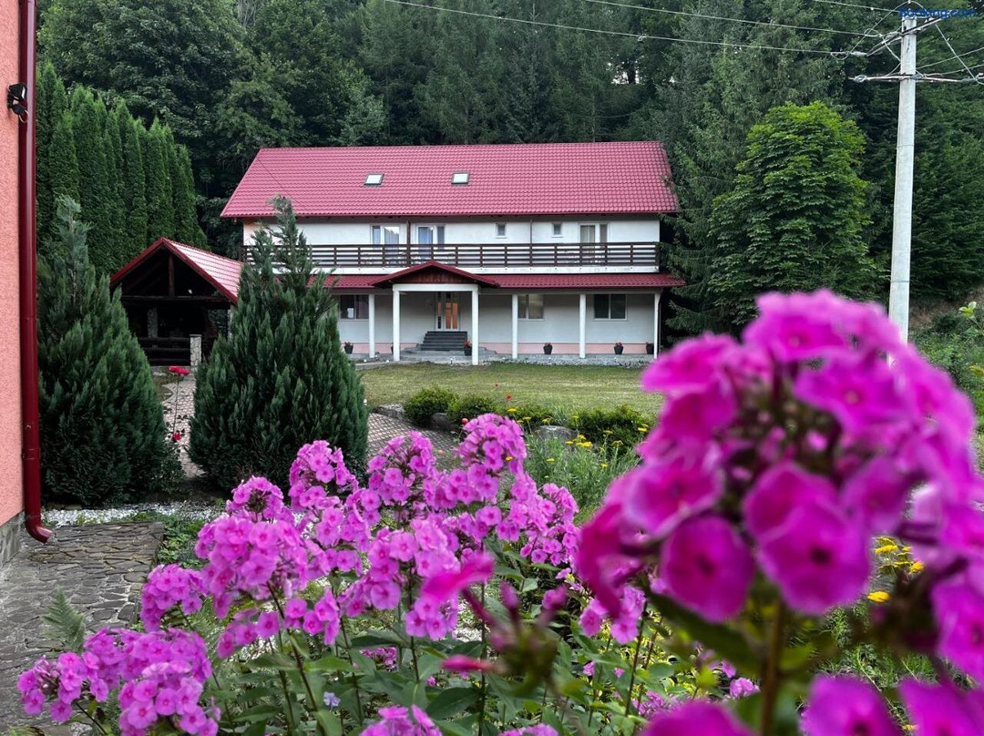 Vacation villa Sucevita