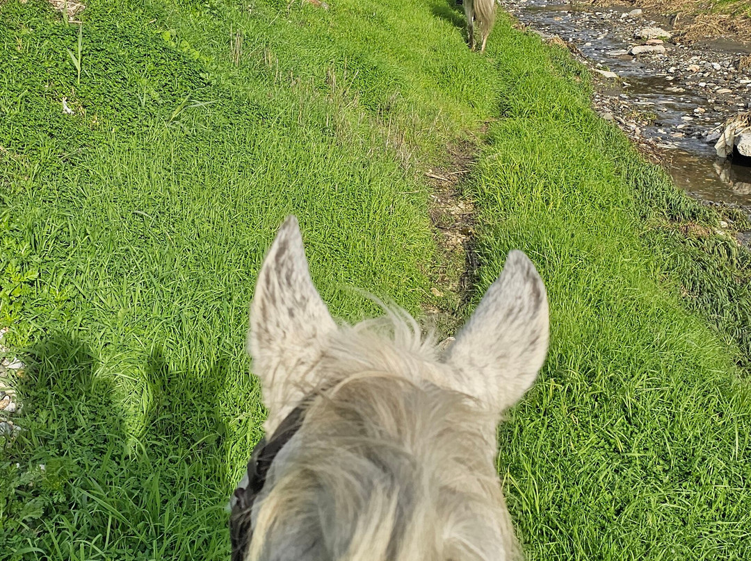 Andale Riding Nerja-内尔哈必去景点