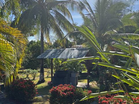 科利布里斯小屋酒店主图